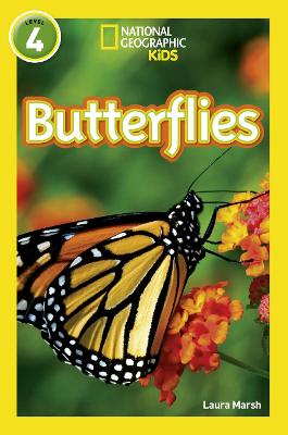 Butterflies (level 4)