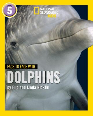 Face To Face With Dolphins (level 5)