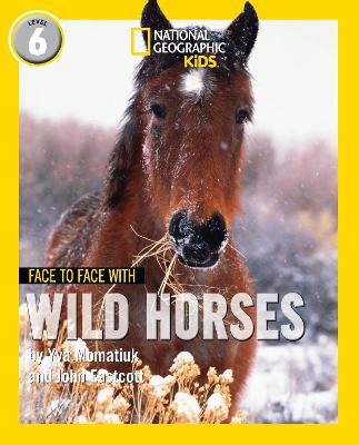 Face To Face With Wild Horses (level 6)