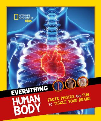 Everything: Human Body (eye-opening Facts And Photos To Tickle Your Brain!)