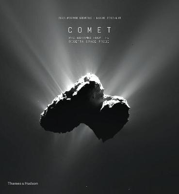 Comet (photographs From The Rosetta Space Probe)